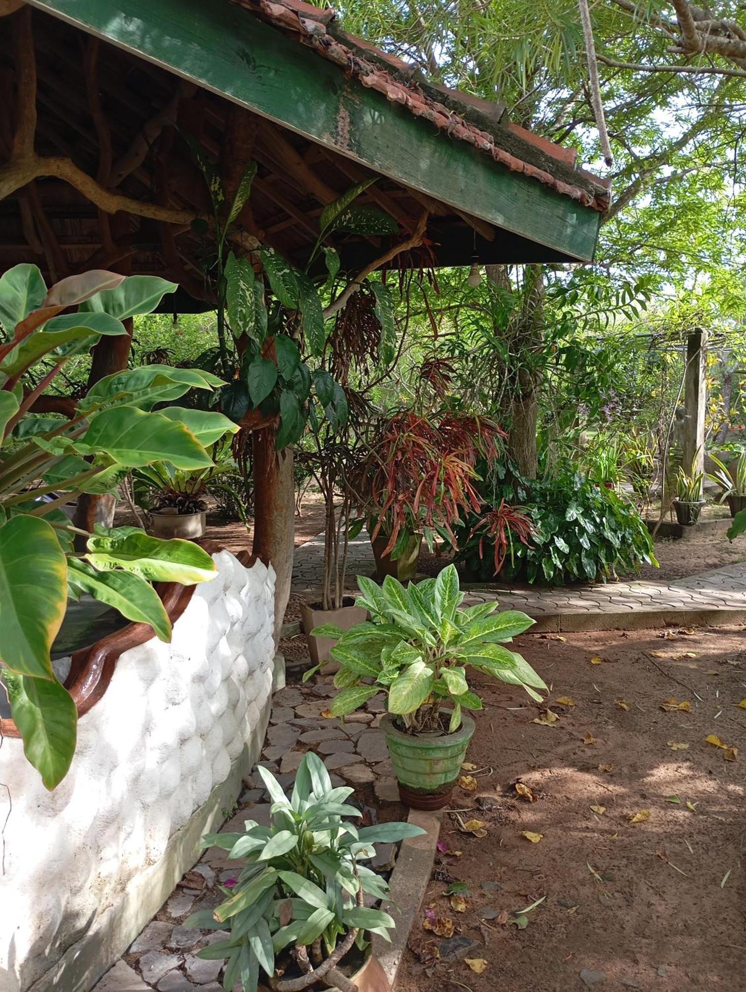 Suduweli Beauties Of Nature - Yala Kirinda  Exterior foto