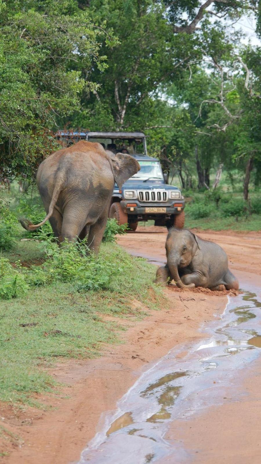 Suduweli Beauties Of Nature - Yala Kirinda  Exterior foto