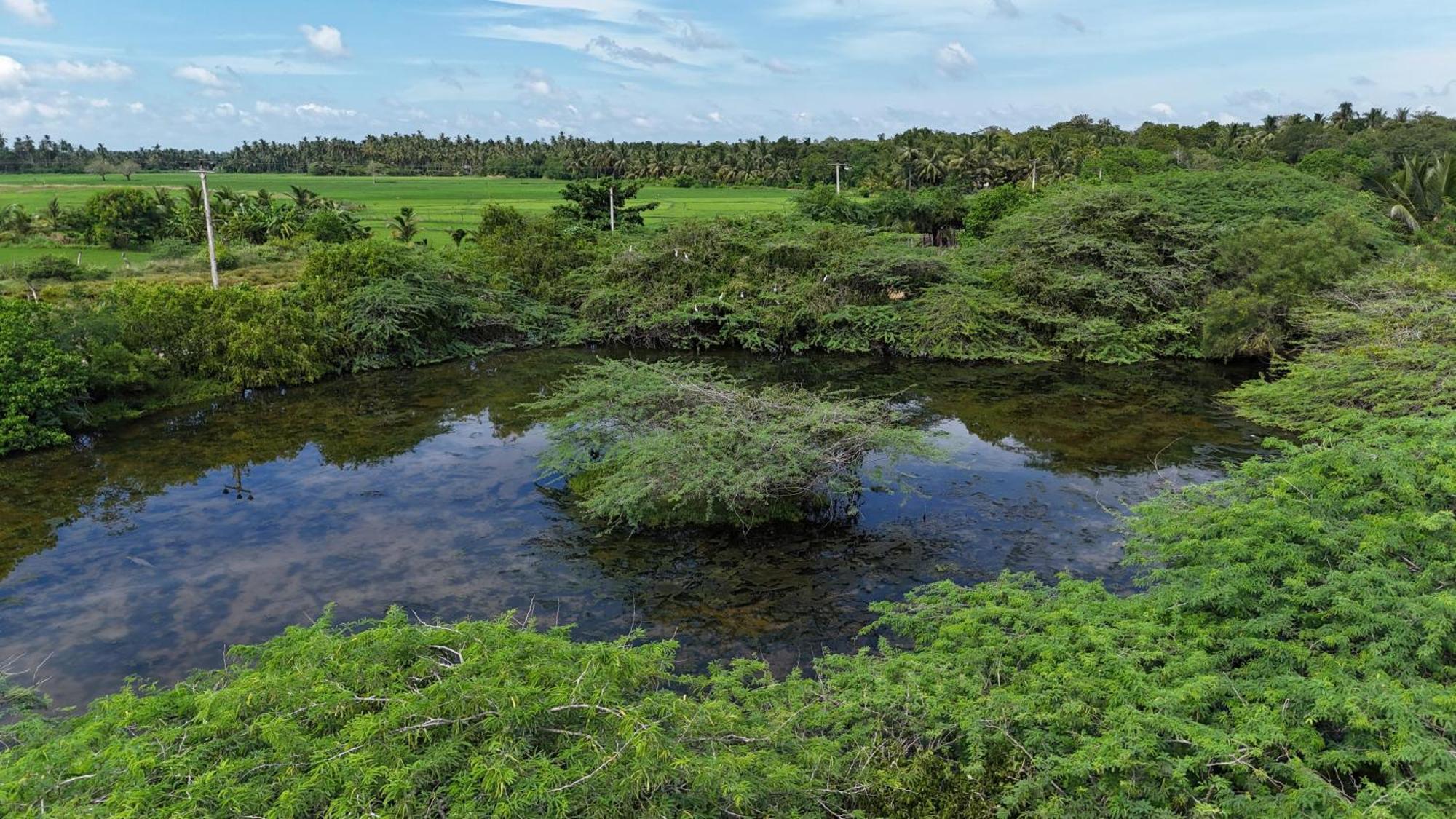 Suduweli Beauties Of Nature - Yala Kirinda  Exterior foto