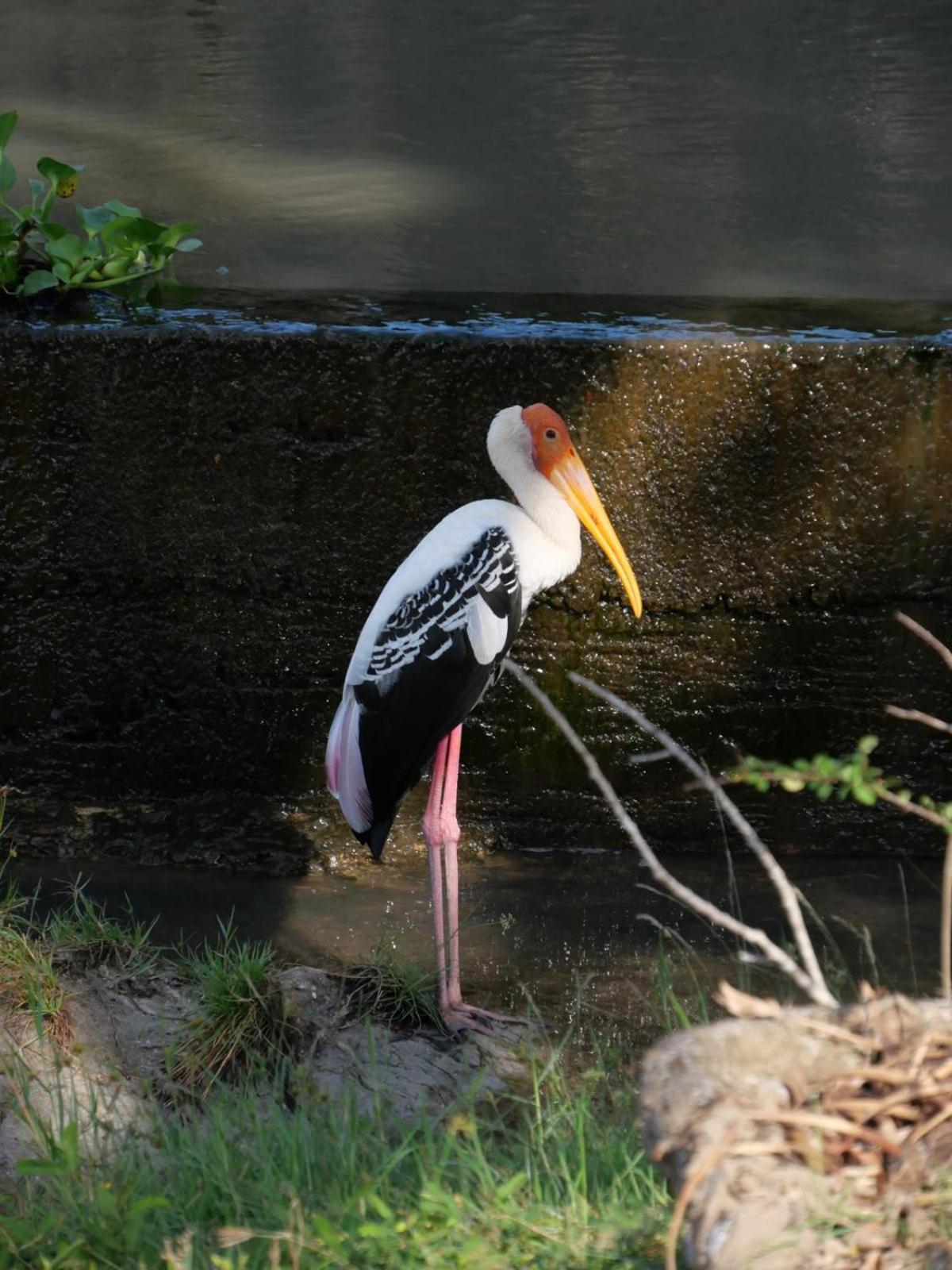 Suduweli Beauties Of Nature - Yala Kirinda  Exterior foto