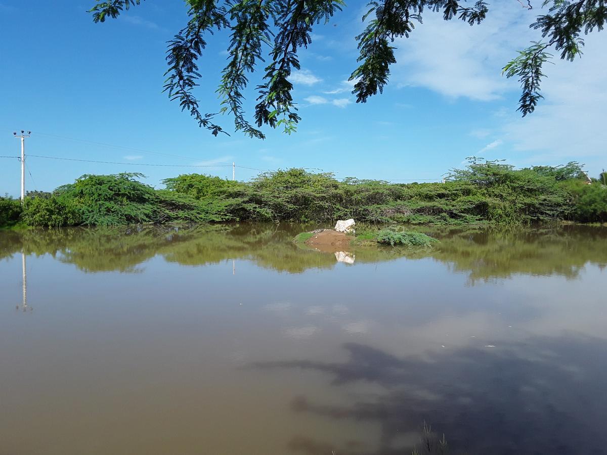Suduweli Beauties Of Nature - Yala Kirinda  Exterior foto