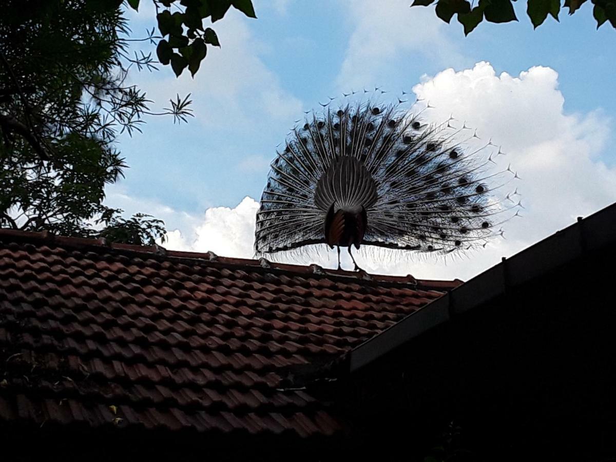 Suduweli Beauties Of Nature - Yala Kirinda  Exterior foto